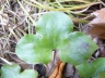 hep_nob2010blatt_3749_7890d5.jpg
