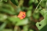 img_2862_2848_c16e2a.jpg